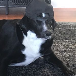 Meet your Posher, Tanya